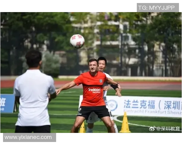 深圳足球队团队协作的力量与魅力探讨 深圳足球队团队协作的力量与魅力探讨