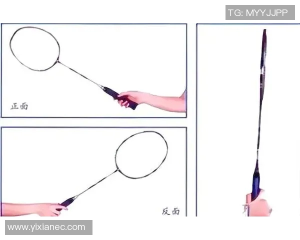从零基础到高手羽毛球技巧与训练全解析指南 从零基础到高手羽毛球技巧与训练全解析指南