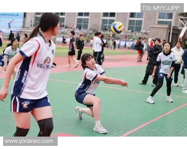 探讨成都排球队在比赛中展现的快速反应与战术配合能力