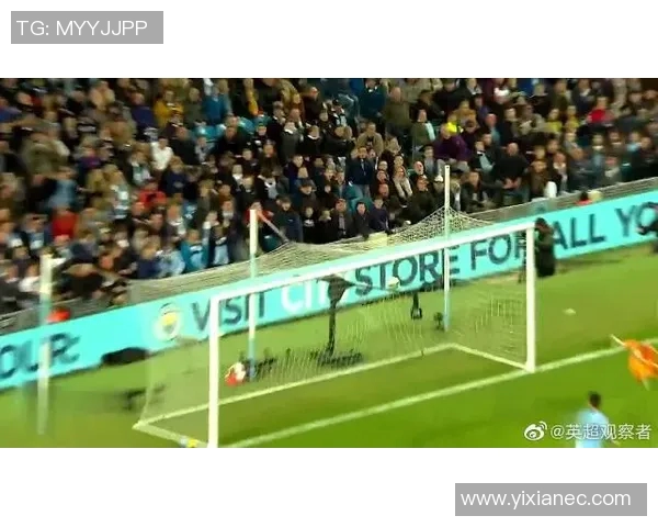 英超羽毛球新手必看入门指南助你快速提升实力技巧