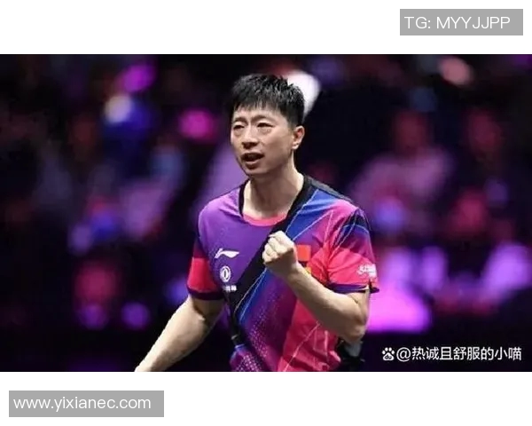 北京排球队以62分领跑大满贯积分榜展现强劲实力