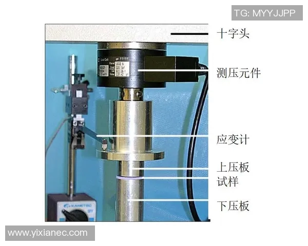 体育实时数据上海排球队速度分析与战术应用的深度探讨与研究