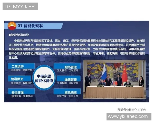 运动最新数据成都篮球队技术分析与战术创新的深度探讨与展望